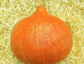 Biofreshi pumpkins laser labelling