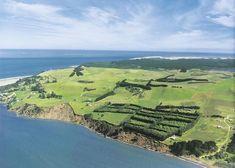 Could British growers seek new shores in New Zealand?