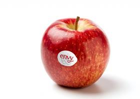 Envy-Apple-Image-2019-_-2 (002)