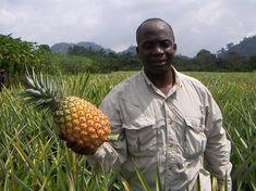 Cameroon power