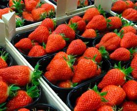 Strawberries (taller photo)