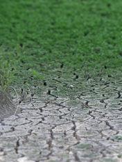 NFU issues World Water Day warning