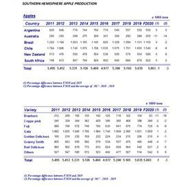 WAPA southern hemisphere forecast 2020 apples