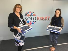 Soloberry blueberry donation