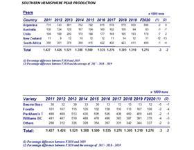 WAPA southern hemisphere forecast 2020 pear