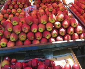 Indian apples