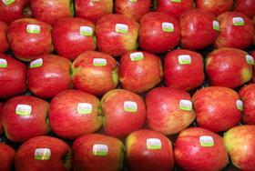Rubens apples