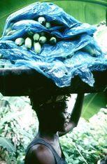 WTO makes fresh banana ruling