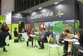 Guatemala stand at Fruit Logistica 2013