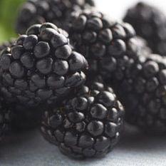 Driscolls blackberries