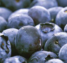 Chilean blueberries