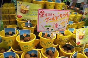 JP Zespri Japan kiwifruit promotion