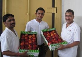 Parth Karvat Yupaa India centre Naturitalia nectarines stonefruit Mumbai