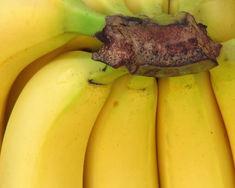 Tesco steps back from banana war