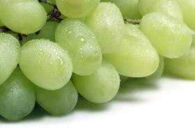 GEN grapes