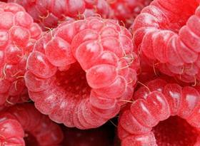 raspberries generic Wikipedia Commons