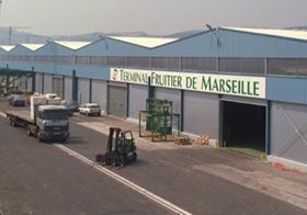 Marseille fruit terminal