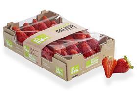 IT Si Bon bio organic strawberries