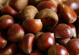 Hazelnuts copyright Flickr Nagarazoku