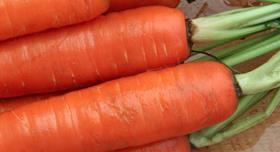 generic carrots credit Jonathunder