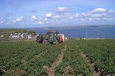 Potato Council seeks award nominations