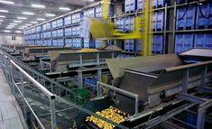 Large potato pallets launched