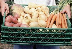 Research claims organics good for health