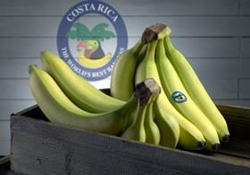 Costa Rica bananas