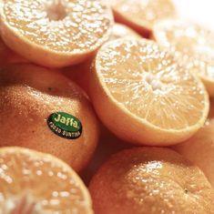 Jaffa Suntina set to arrive in UK