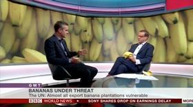 Mike on BBC World News talking bananas