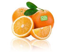 Co2_oranges_reflect