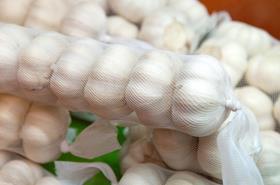 Generic Chinese garlic bagged