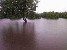 The Oliphants bursts its banks