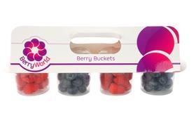 Berry Buckets Hi Res