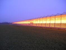Baarda brings innovation