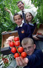 Kids enter tomato zone with Stubbins