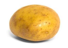 Potato generic