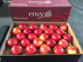 Envy apples packing