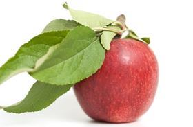 NZ Plant & Food Research HortResearch envy apple