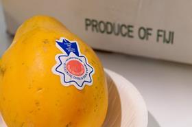Produce Specialties Fiji Solo Red Papaya