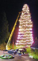 Employees hope extra cash is waiting under the tree