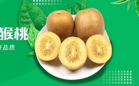 Shenshan Xingnong kiwifruit