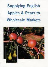 Wholesale direction for English apples