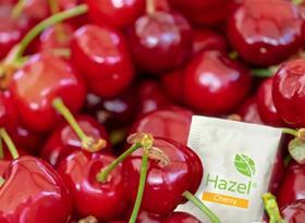 Hazel Cherry