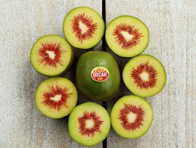 FR Primland Oscar Red kiwifruit