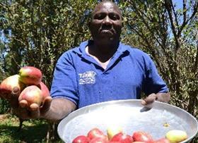 KE Peter Wambugu apples