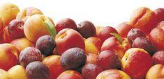 Stonefruit sector strives for growth
