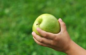 Delta Agrar Serbia apples