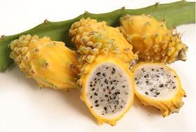 yellow dragonfruit