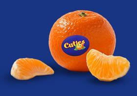 Cuties clementine